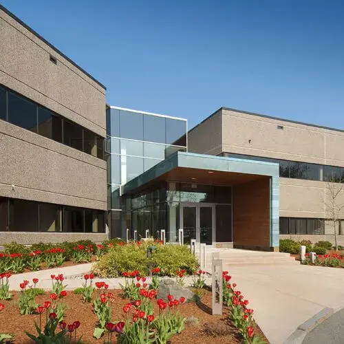 glass services for buildings